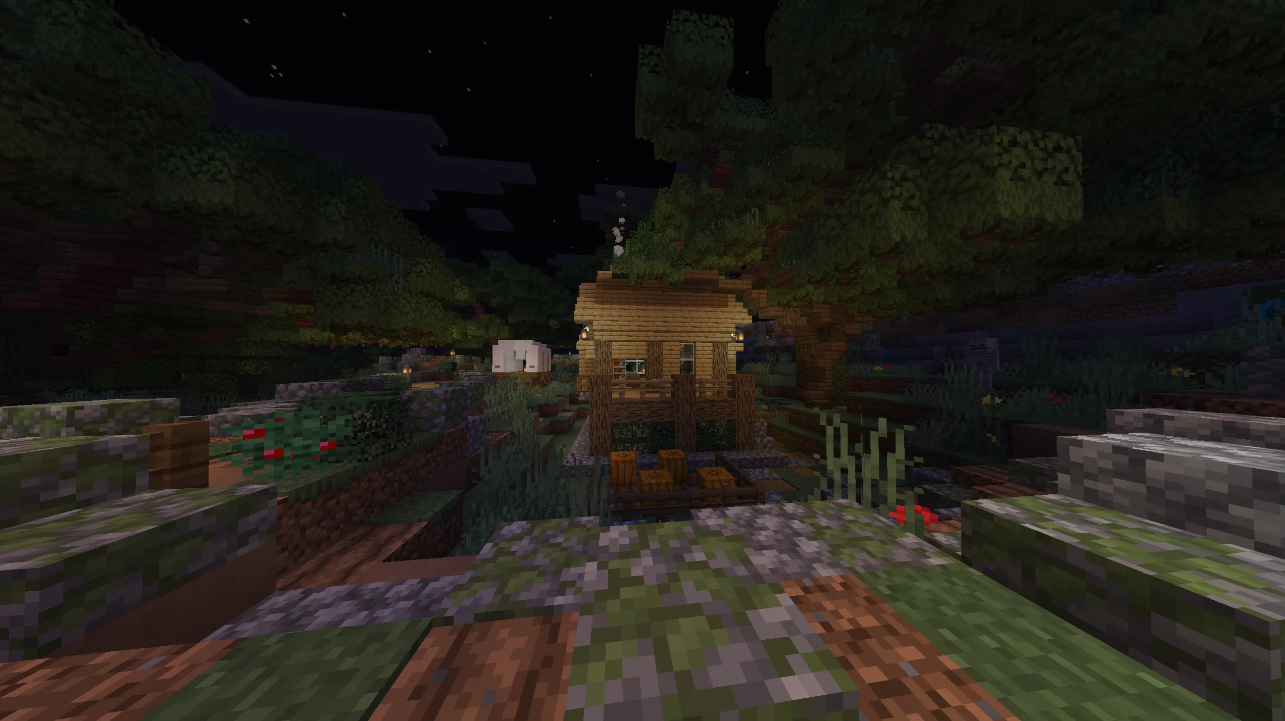 Update On Bone Voyage??